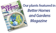 pond plants in Better Homes & Gardens